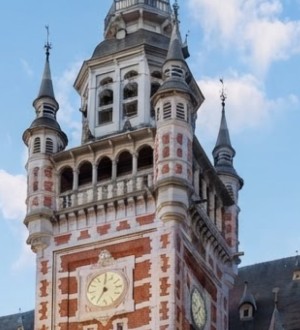 Poetshulp in Borgerhout